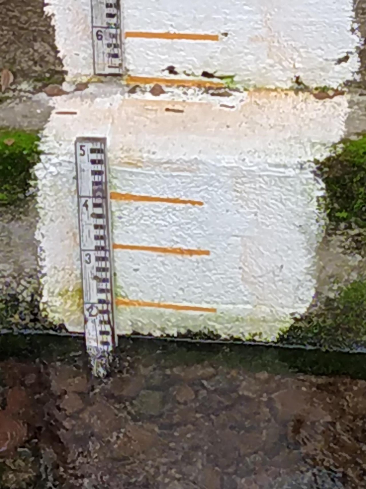 physical scale in CrowdWater App spotted by NoahatArk on 11.12.2020