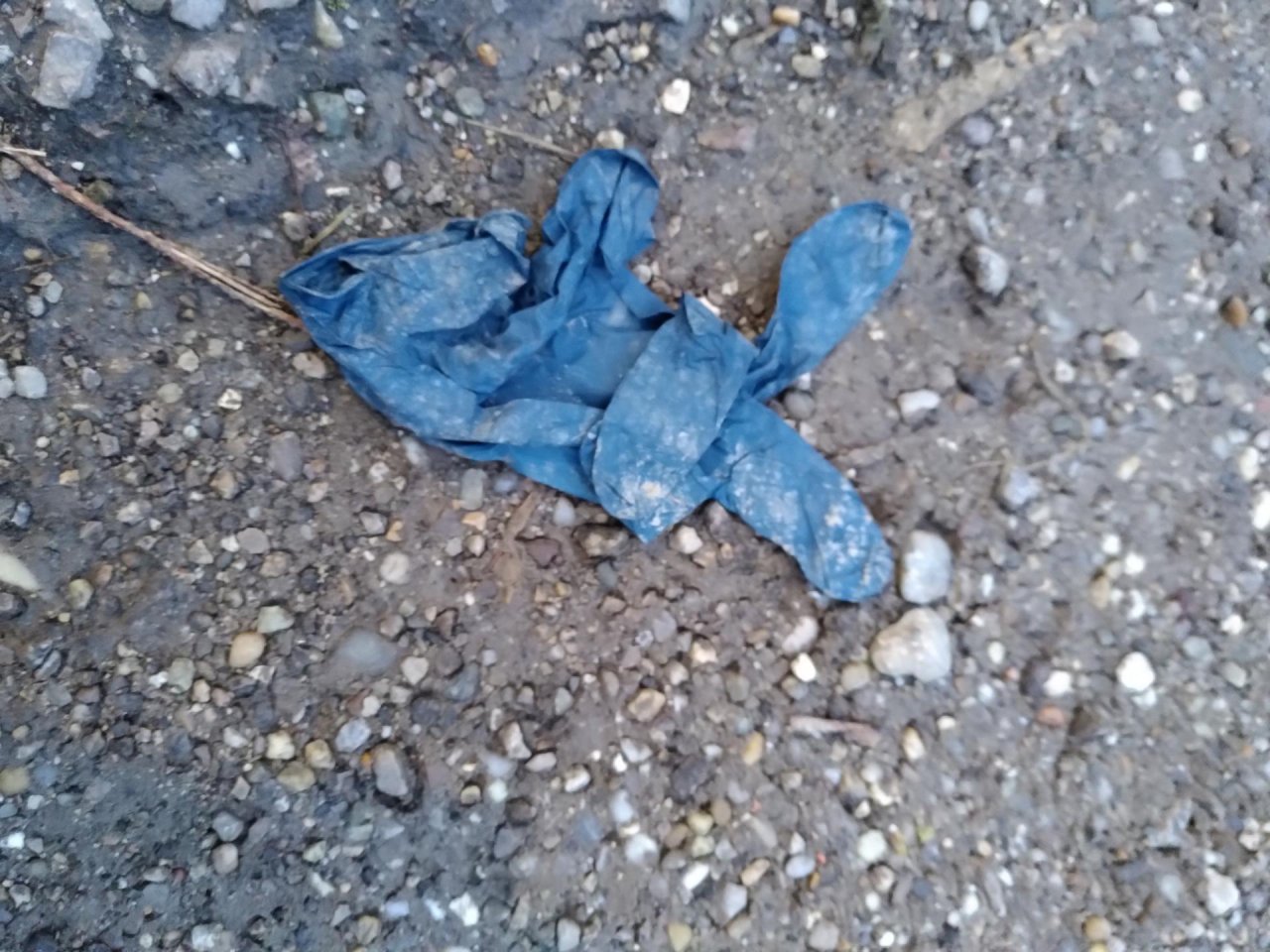 litter in DRECKSPOTZ | GLOBAL 2000 App spotted by TheOSWR on 21.12.2020