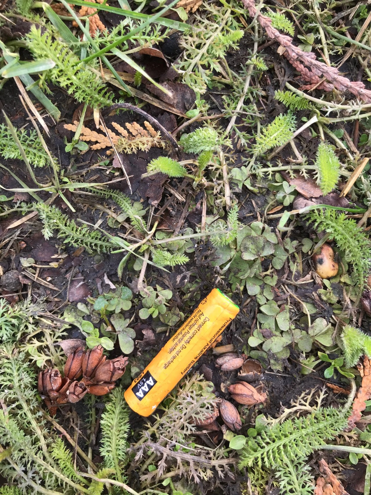 litter in DRECKSPOTZ | GLOBAL 2000 App spotted by Gabriele Kriz on 22.12.2020