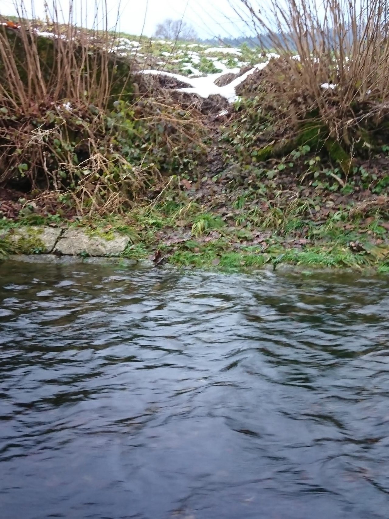 virtual scale in CrowdWater App spotted by MonikaD on 15.12.2020