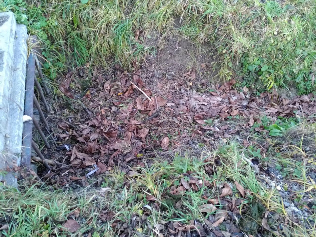 temporary stream in CrowdWater App spotted by TheOSWR on 14.12.2020