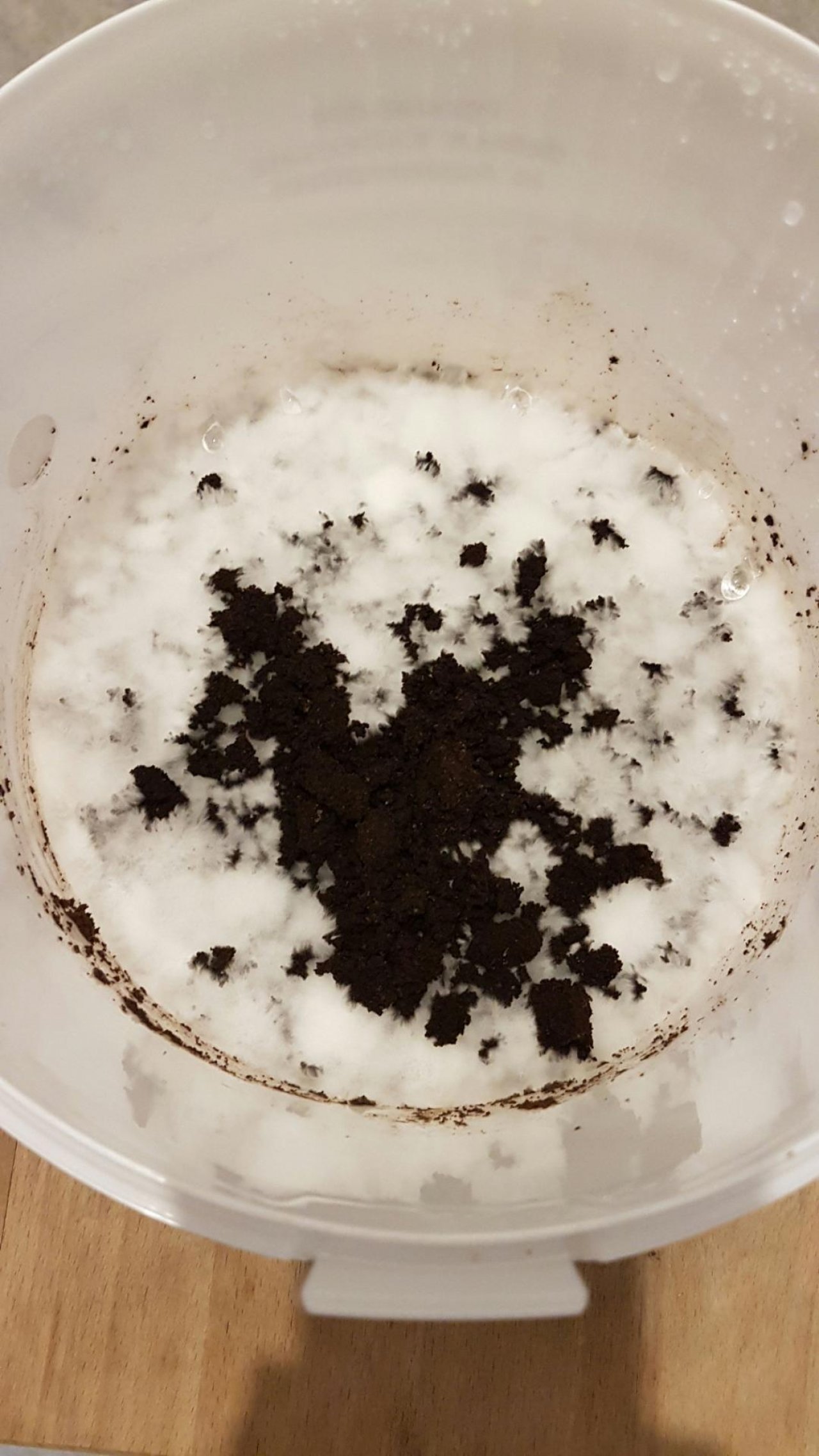 anderer Lamellenpilz (hell) in Pilzfinder App spotted by Ka vonSeiten on 05.01.2021