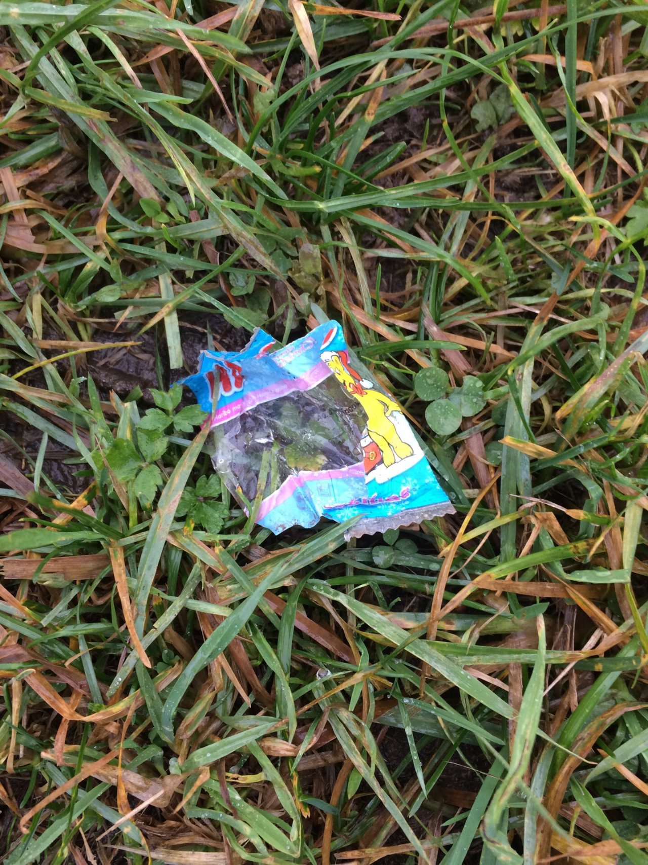 litter in DRECKSPOTZ | GLOBAL 2000 App spotted by Dorit Weber on 21.12.2020