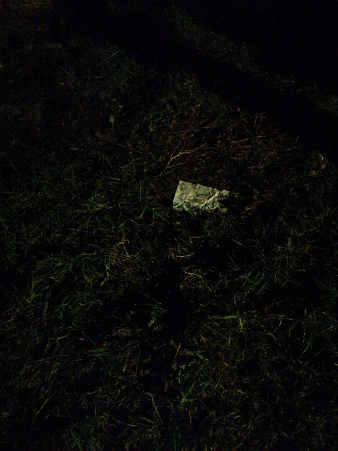 litter in DRECKSPOTZ | GLOBAL 2000 App spotted by NEOS Ebreichsdorf on 09.01.2021