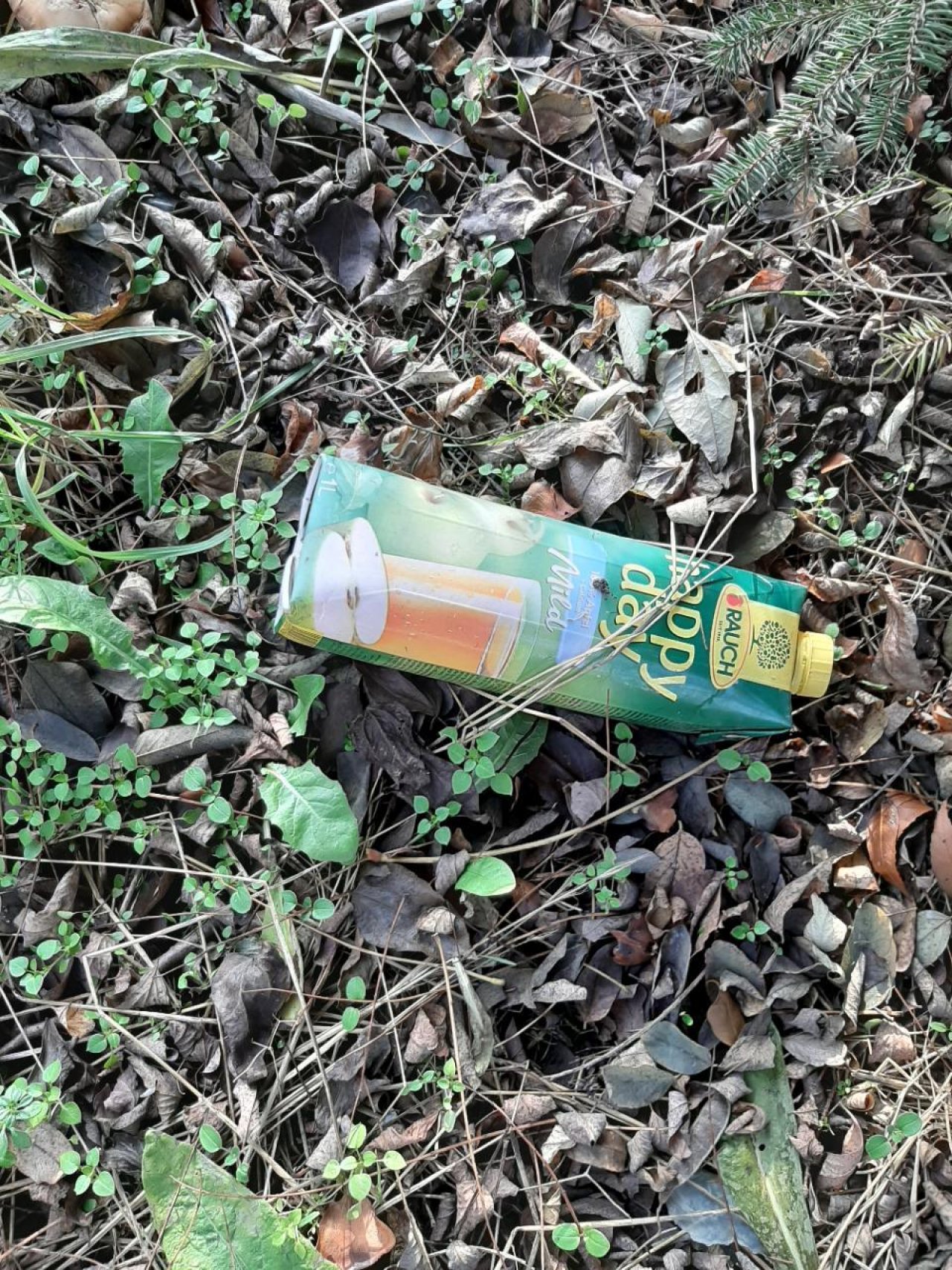 litter in DRECKSPOTZ | GLOBAL 2000 App spotted by Gudrun H. on 12.12.2020