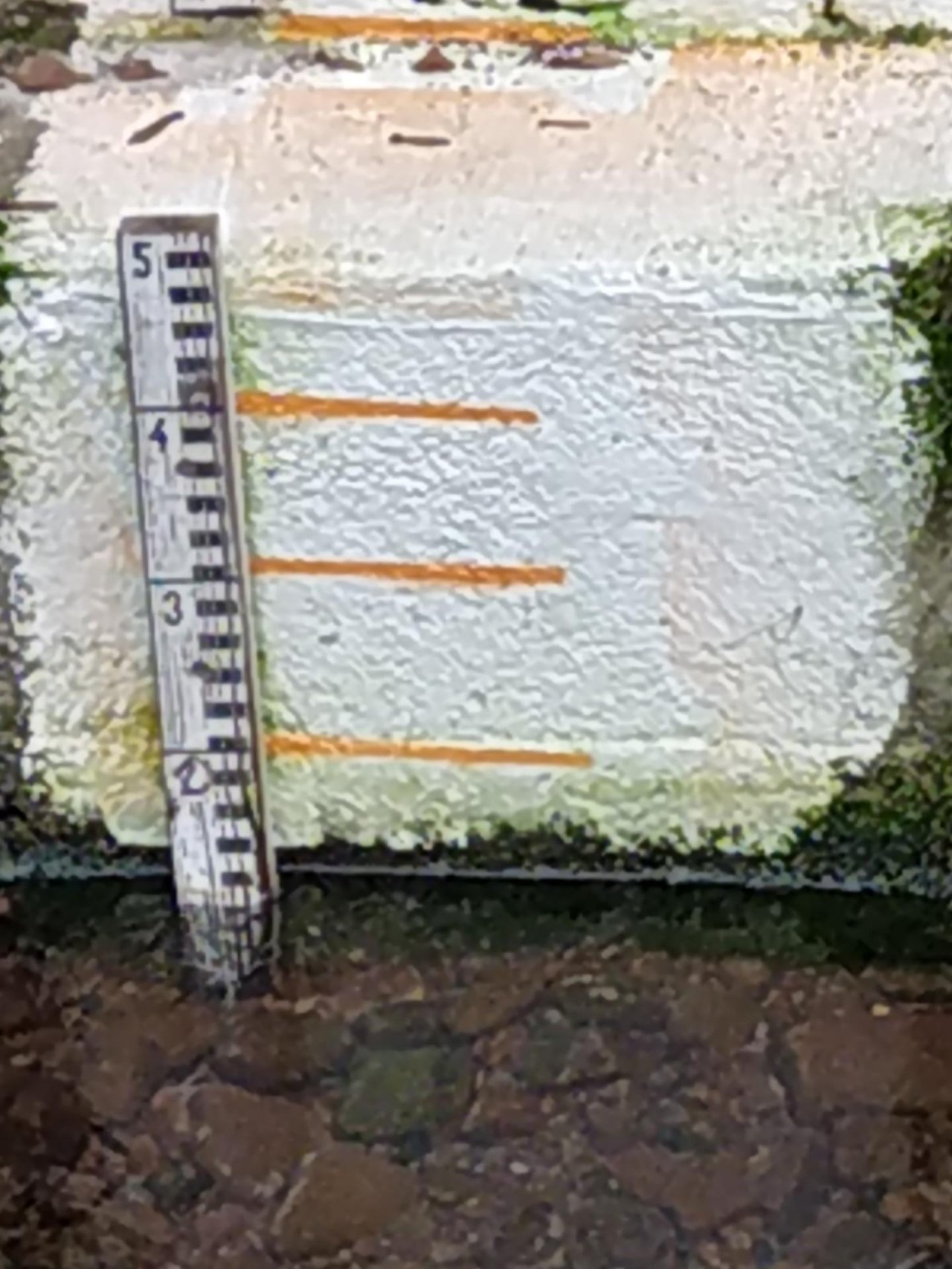 physical scale in CrowdWater App spotted by NoahatArk on 19.12.2020