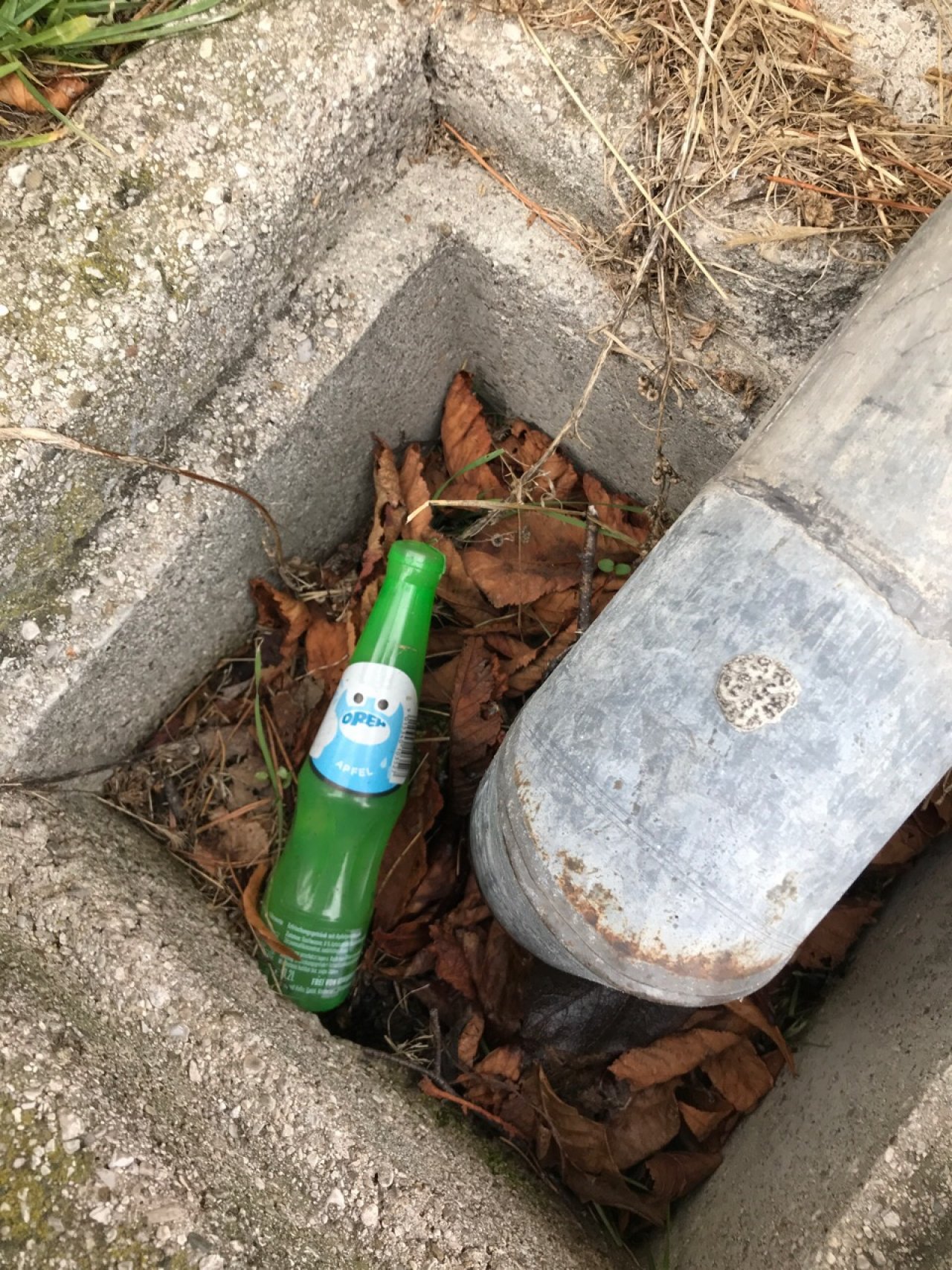 litter in DRECKSPOTZ | GLOBAL 2000 App spotted by Gabriele Kriz on 13.12.2020