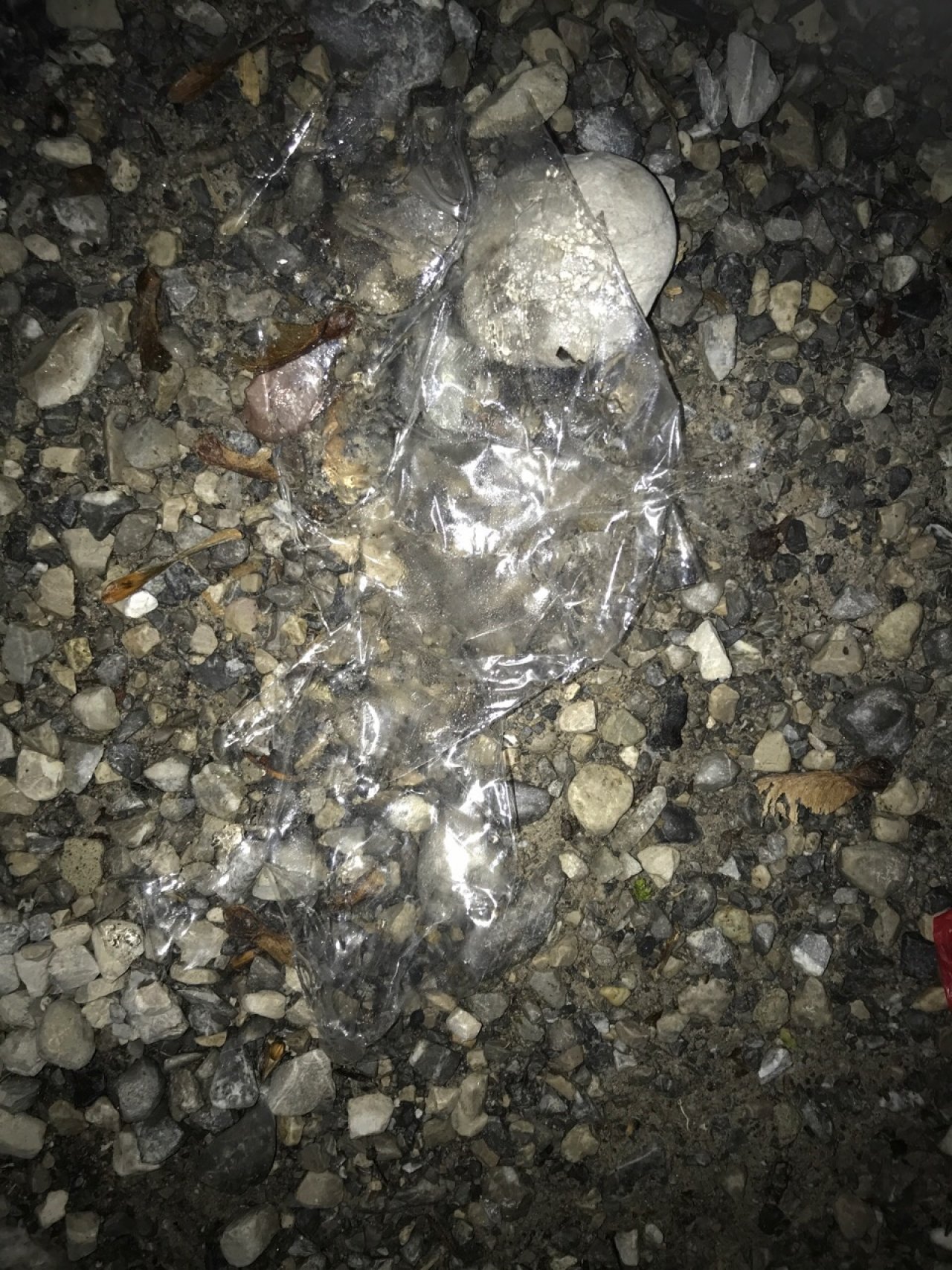 litter in DRECKSPOTZ | GLOBAL 2000 App spotted by Baumi21 on 17.12.2020