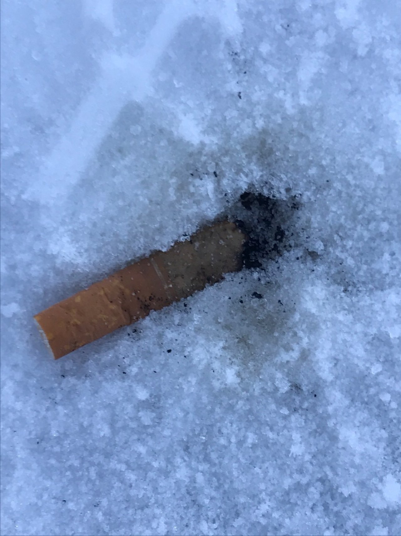 litter in DRECKSPOTZ | GLOBAL 2000 App spotted by Baumi21 on 16.12.2020