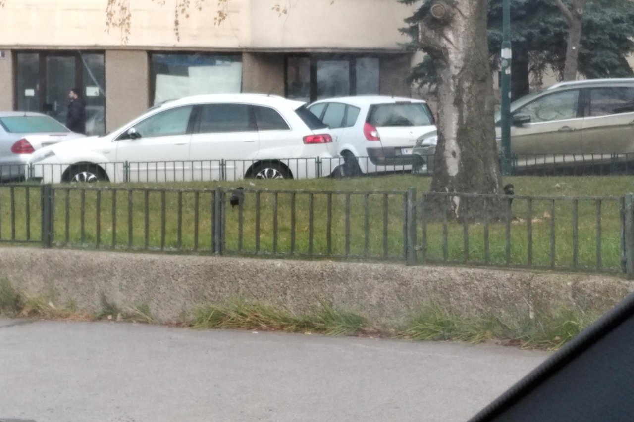 Rook in KraMobil App spotted by Patrick BA on 14.12.2020