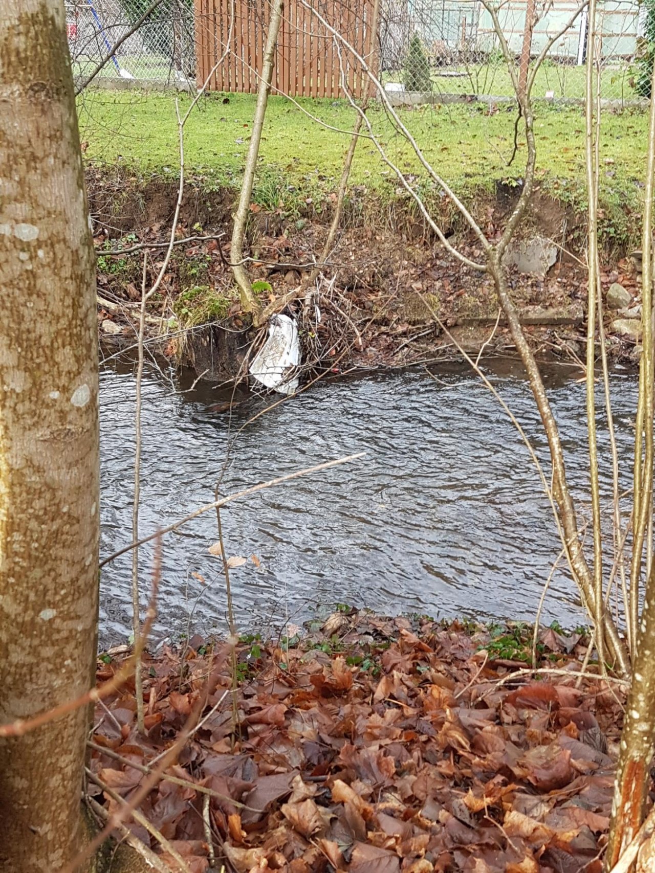 virtual scale in CrowdWater App spotted by Bergi on 11.12.2020