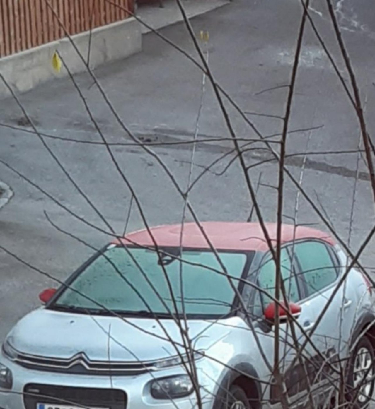 Reif in Naturkalender App spotted by Steinbock on 27.12.2020