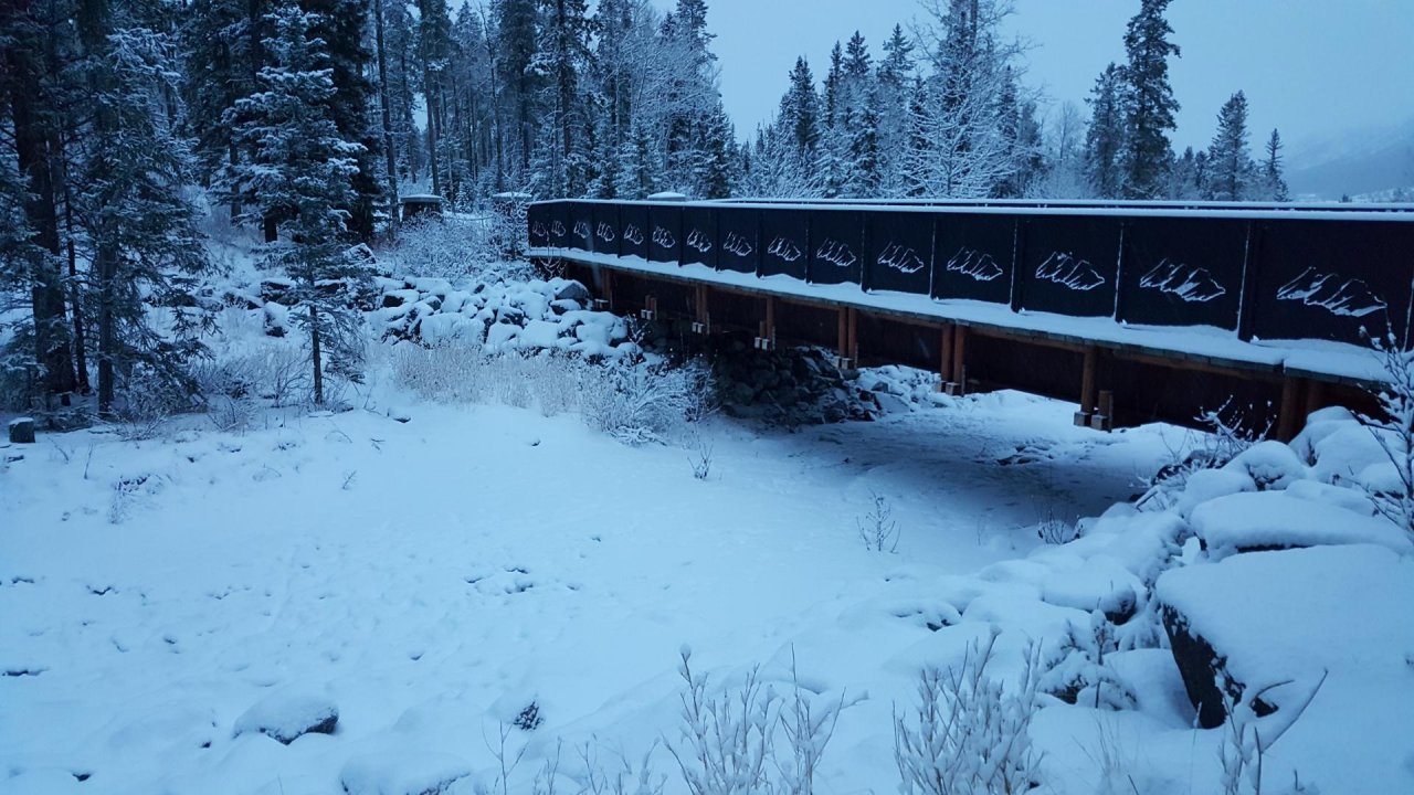 temporary stream in CrowdWater App spotted by Paul Whitfield on 20.12.2020