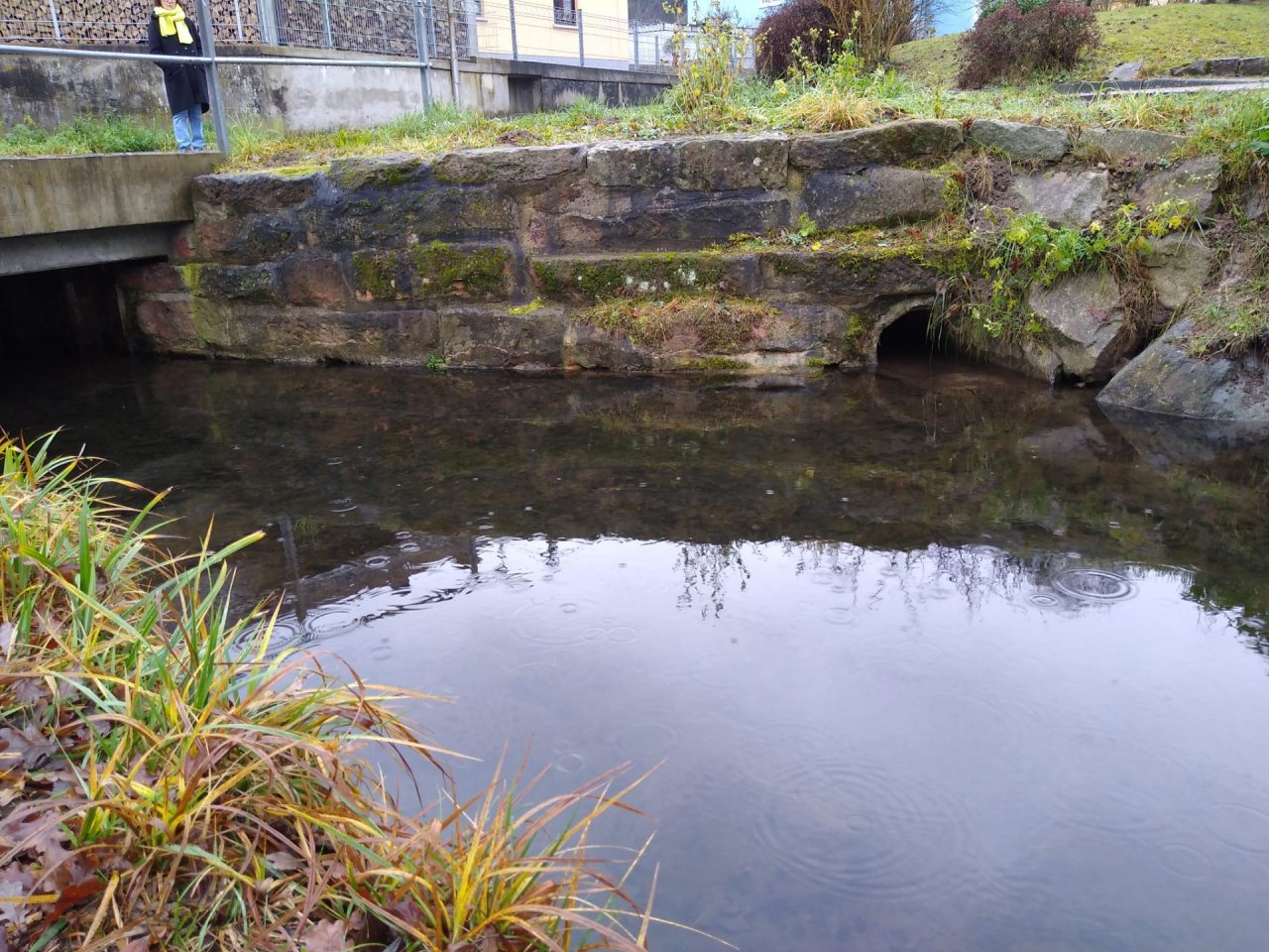 virtual scale in CrowdWater App spotted by rmth53 on 21.12.2020