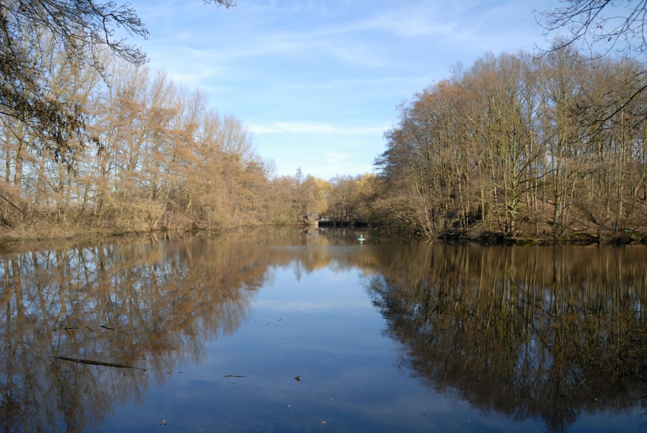 Other in NatureSpots App spotted by Danny VG on 26.01.2021