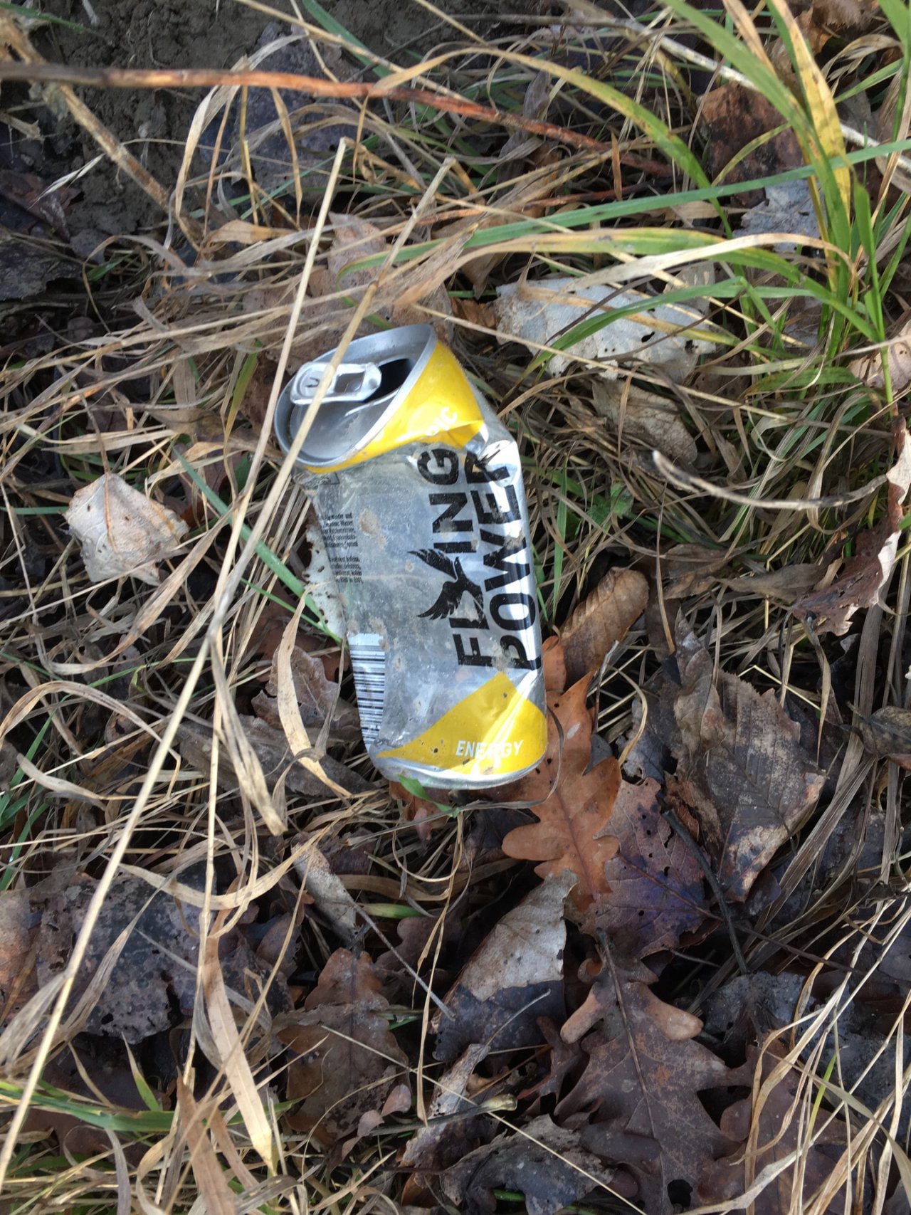 litter in DRECKSPOTZ | GLOBAL 2000 App spotted by Reiwei on 09.01.2021