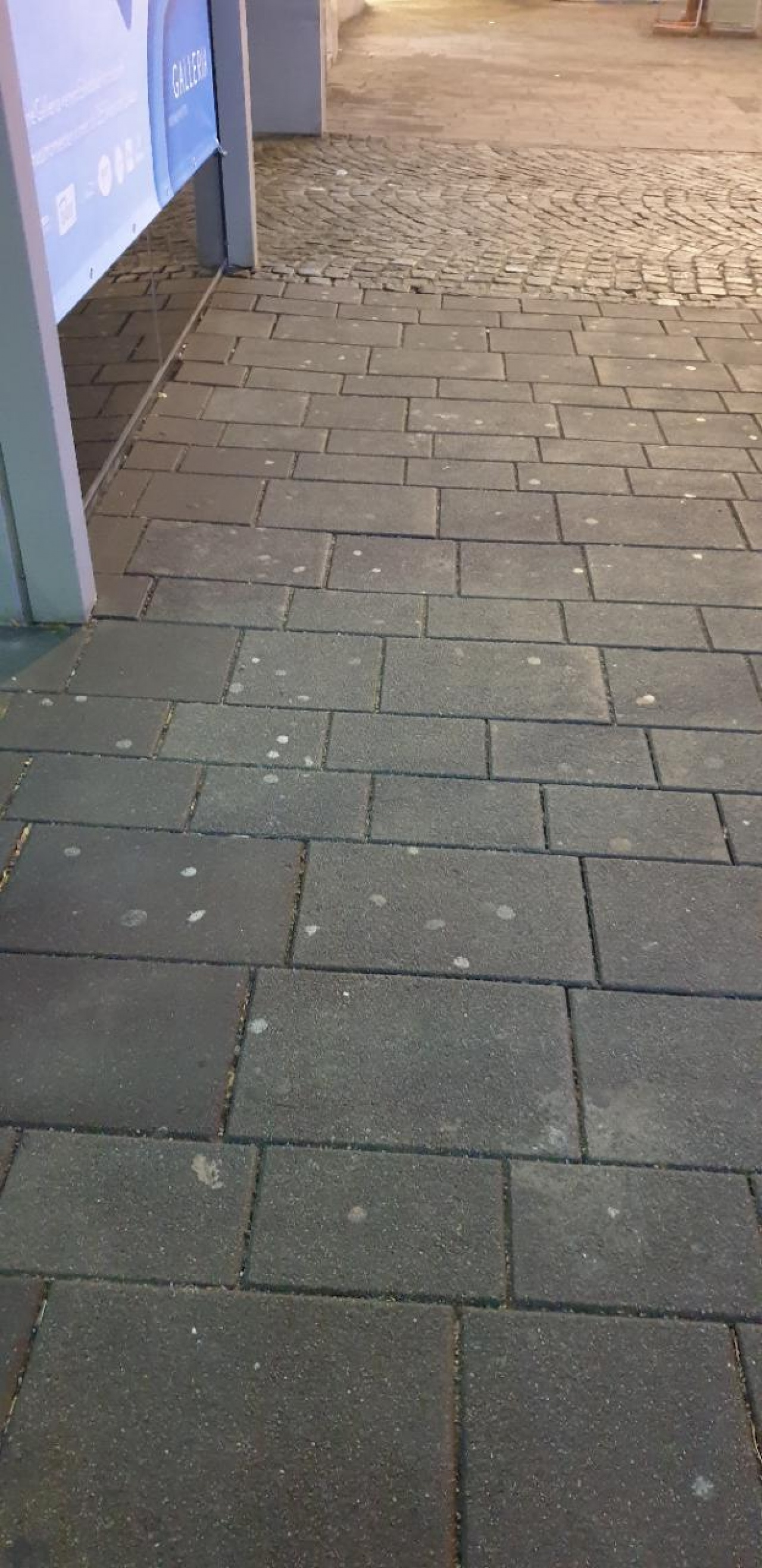 Unzählbar viele Kaugummis | DRECKSPOTZ | GLOBAL 2000 App | 08.12.2020