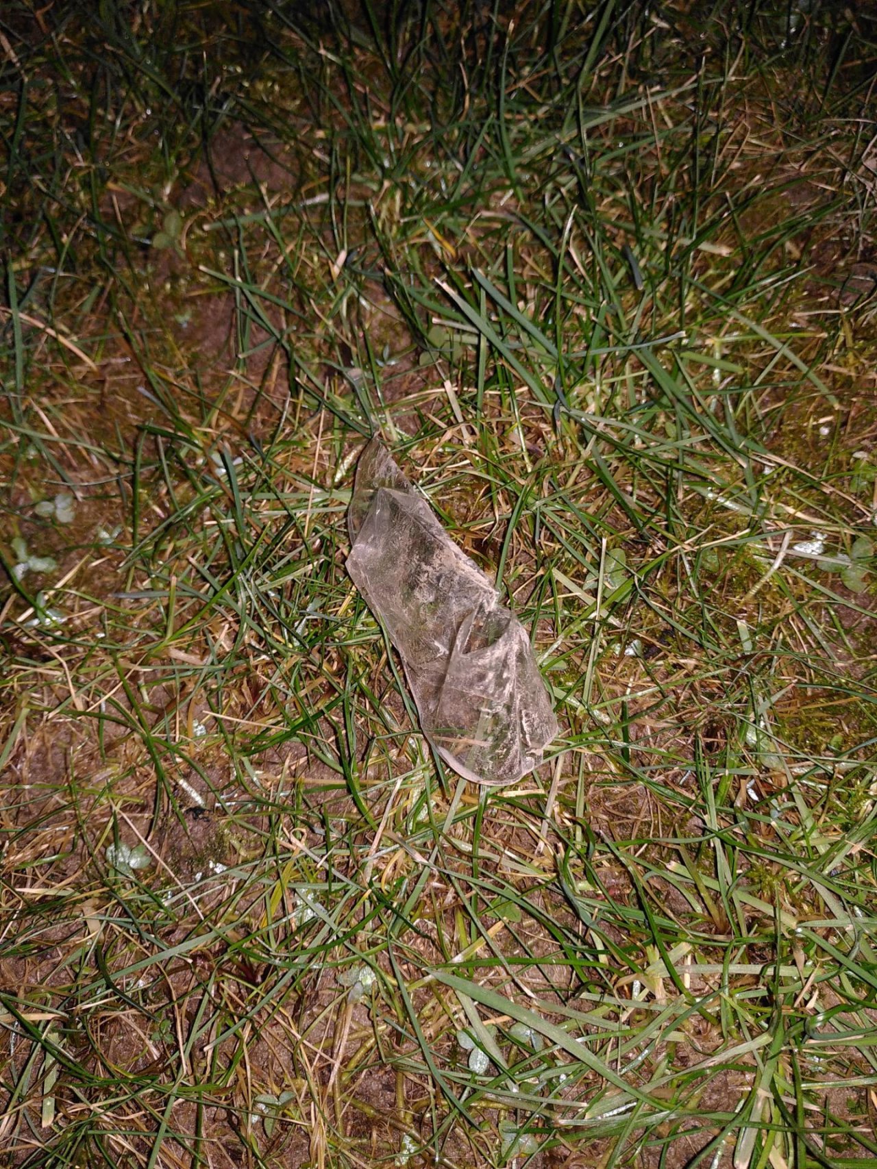 litter in DRECKSPOTZ | GLOBAL 2000 App spotted by TheOSWR on 18.02.2021