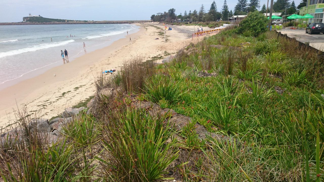 Coastsnap Station in CoastSnap App spotted by Stockton1 on 24.12.2020