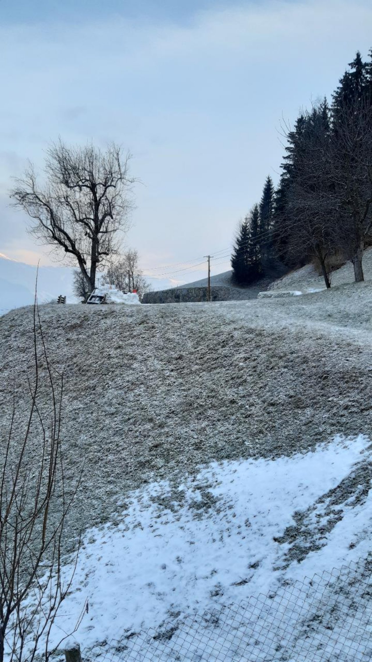 Reif in Naturkalender App spotted by Steinbock on 06.01.2021