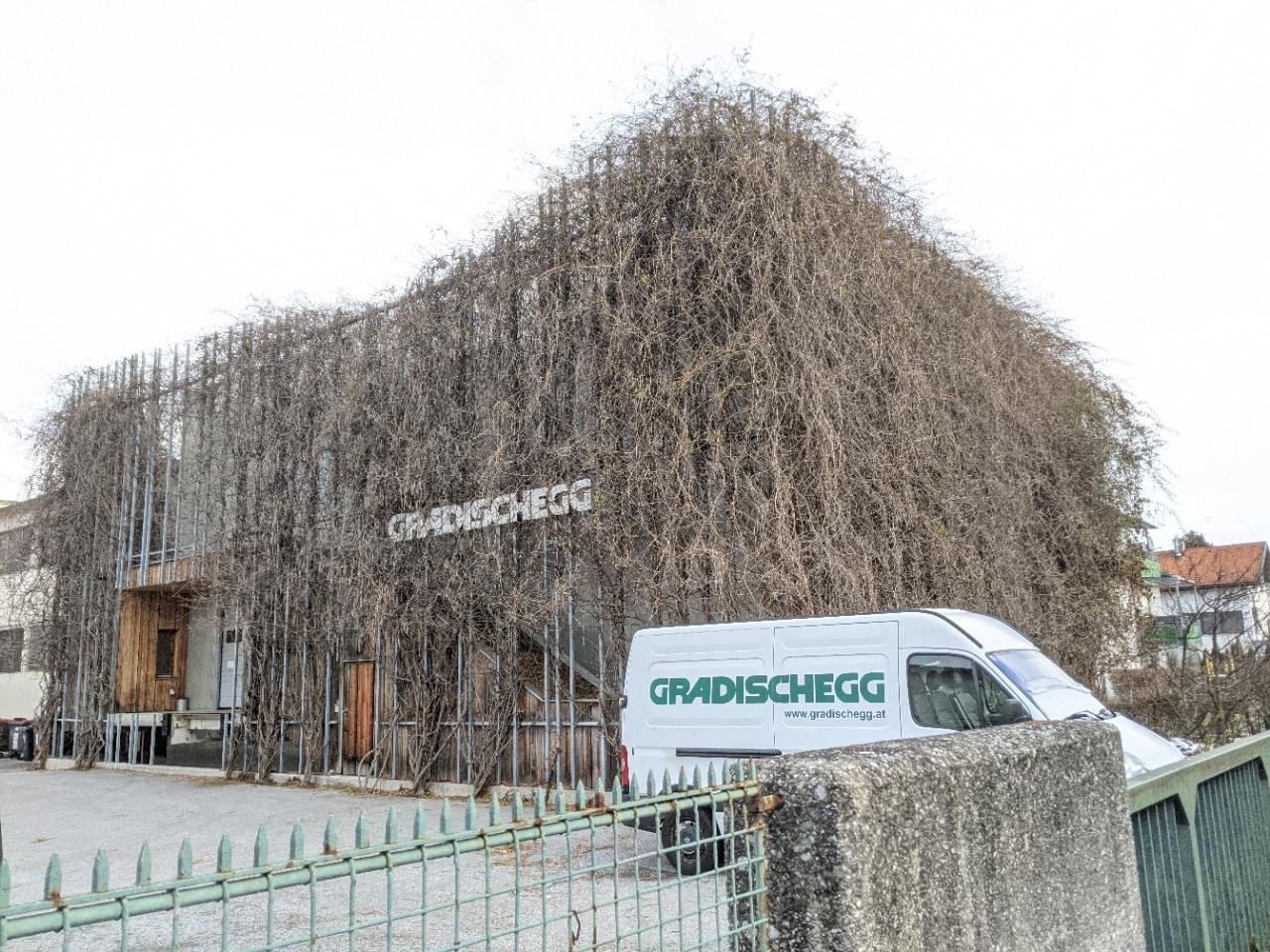 Eine andere Art in Naturkalender App spotted by Heemuul on 13.12.2020