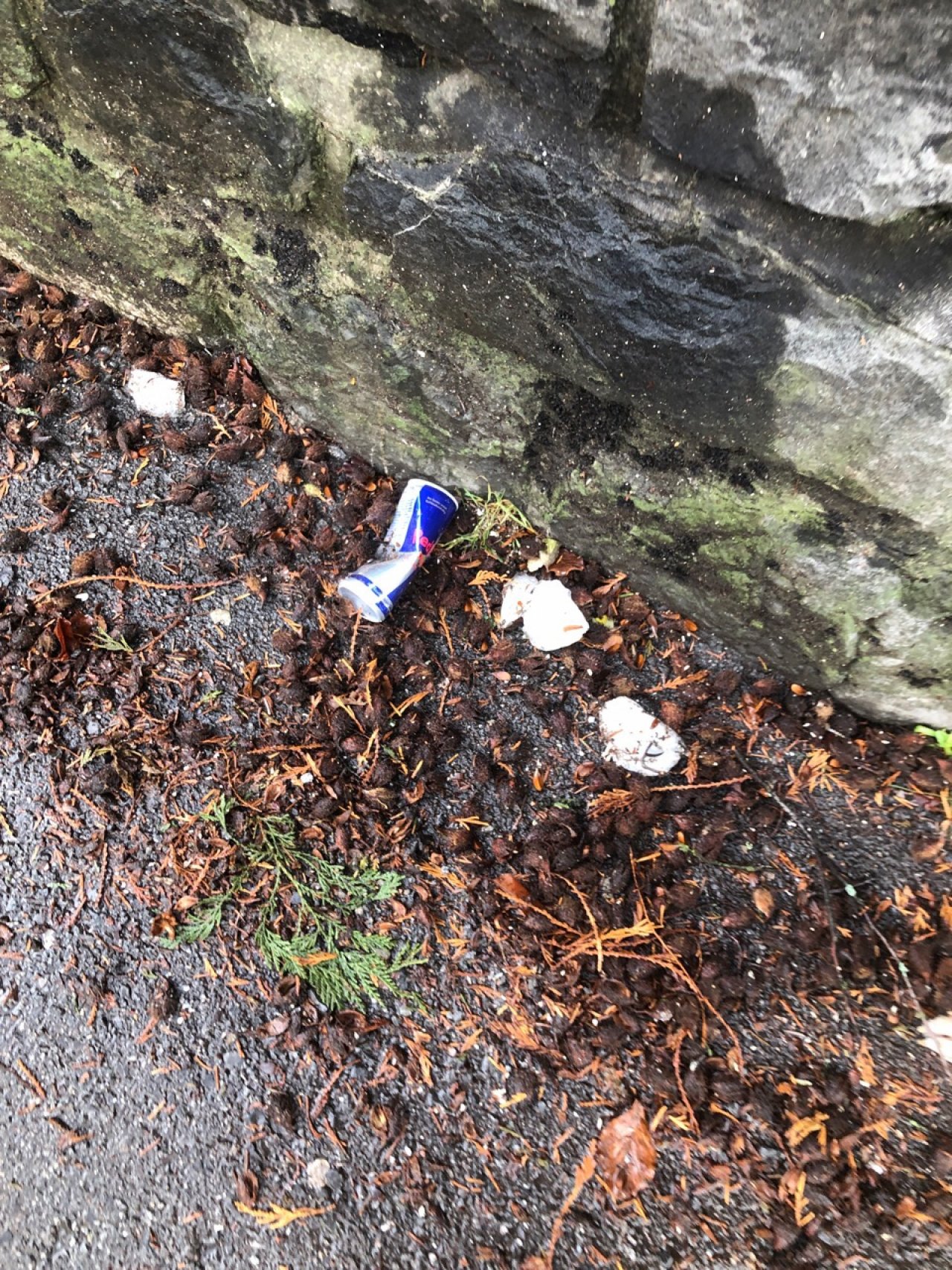 litter in DRECKSPOTZ | GLOBAL 2000 App spotted by Christian Ganahl on 15.12.2020