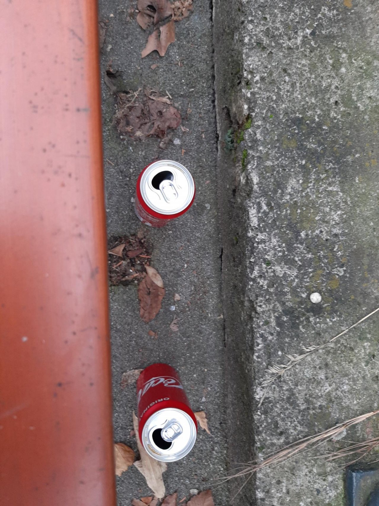 litter in DRECKSPOTZ | GLOBAL 2000 App spotted by Gudrun H. on 21.12.2020