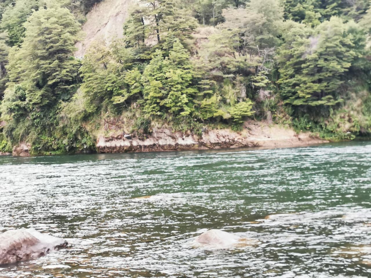 virtual scale in CrowdWater App spotted by Camila Bañales-Seguel on 12.12.2020