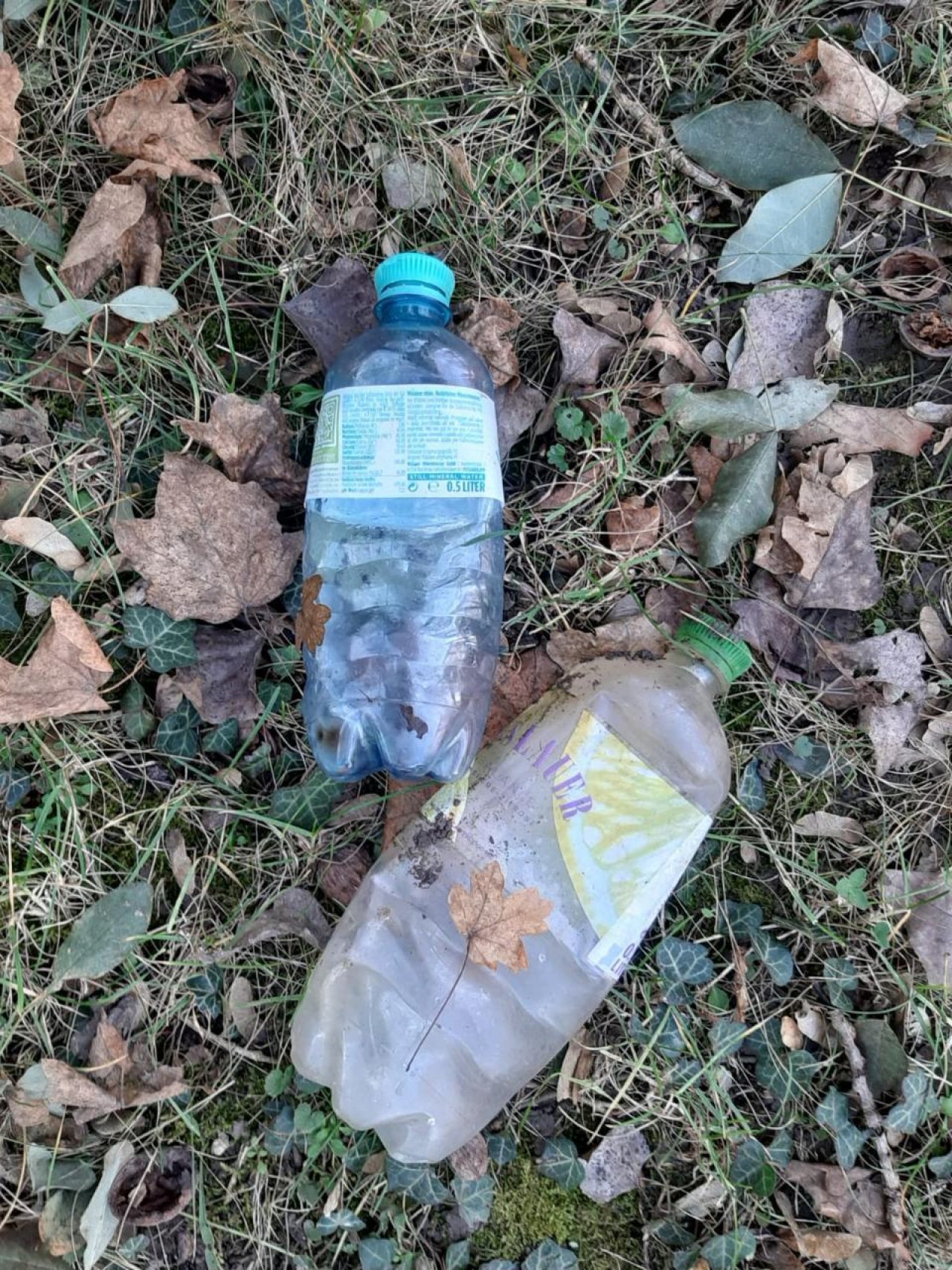 litter in DRECKSPOTZ | GLOBAL 2000 App spotted by Dreckspitz on 15.12.2020