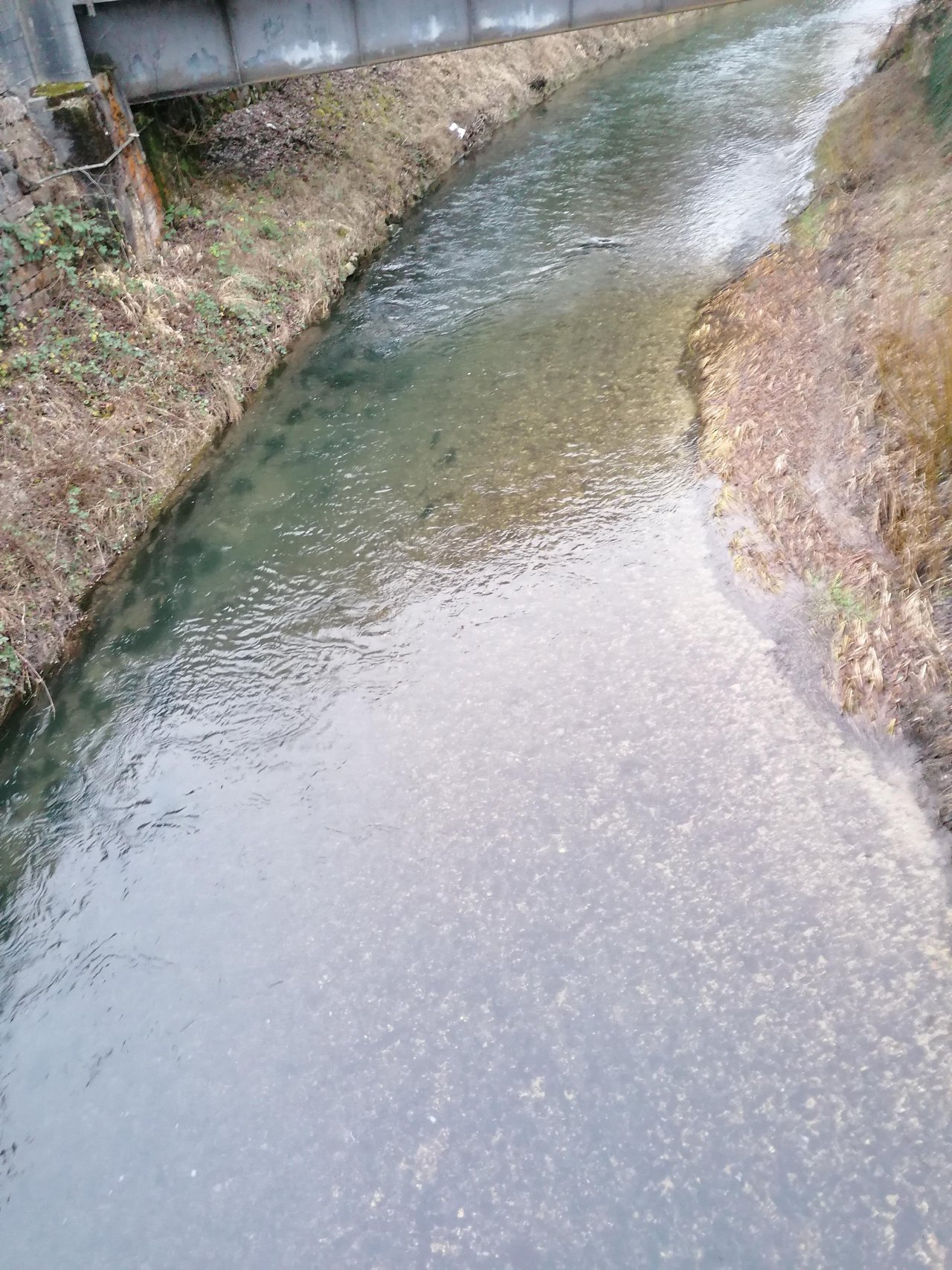 stream type in CrowdWater App spotted by mm4144 on 03.01.2021