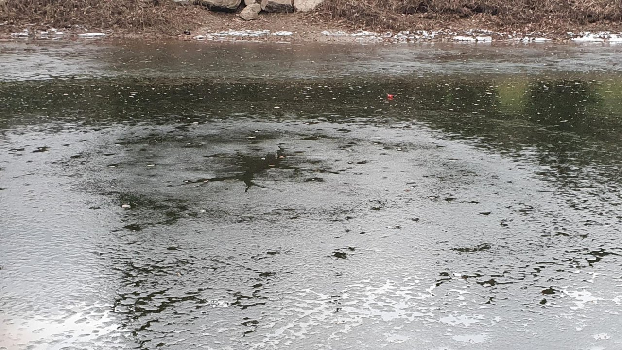 litter in DRECKSPOTZ | GLOBAL 2000 App spotted by A Mile Of Sky on 14.12.2020