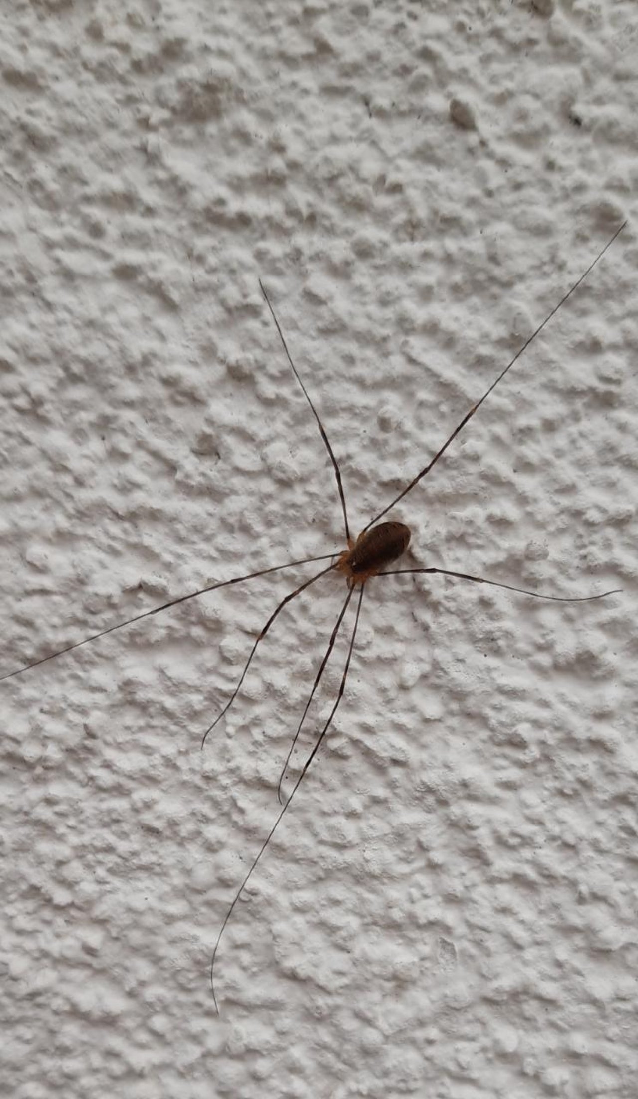 Eine andere Tierart in Naturkalender App spotted by Steinbock on 23.12.2020