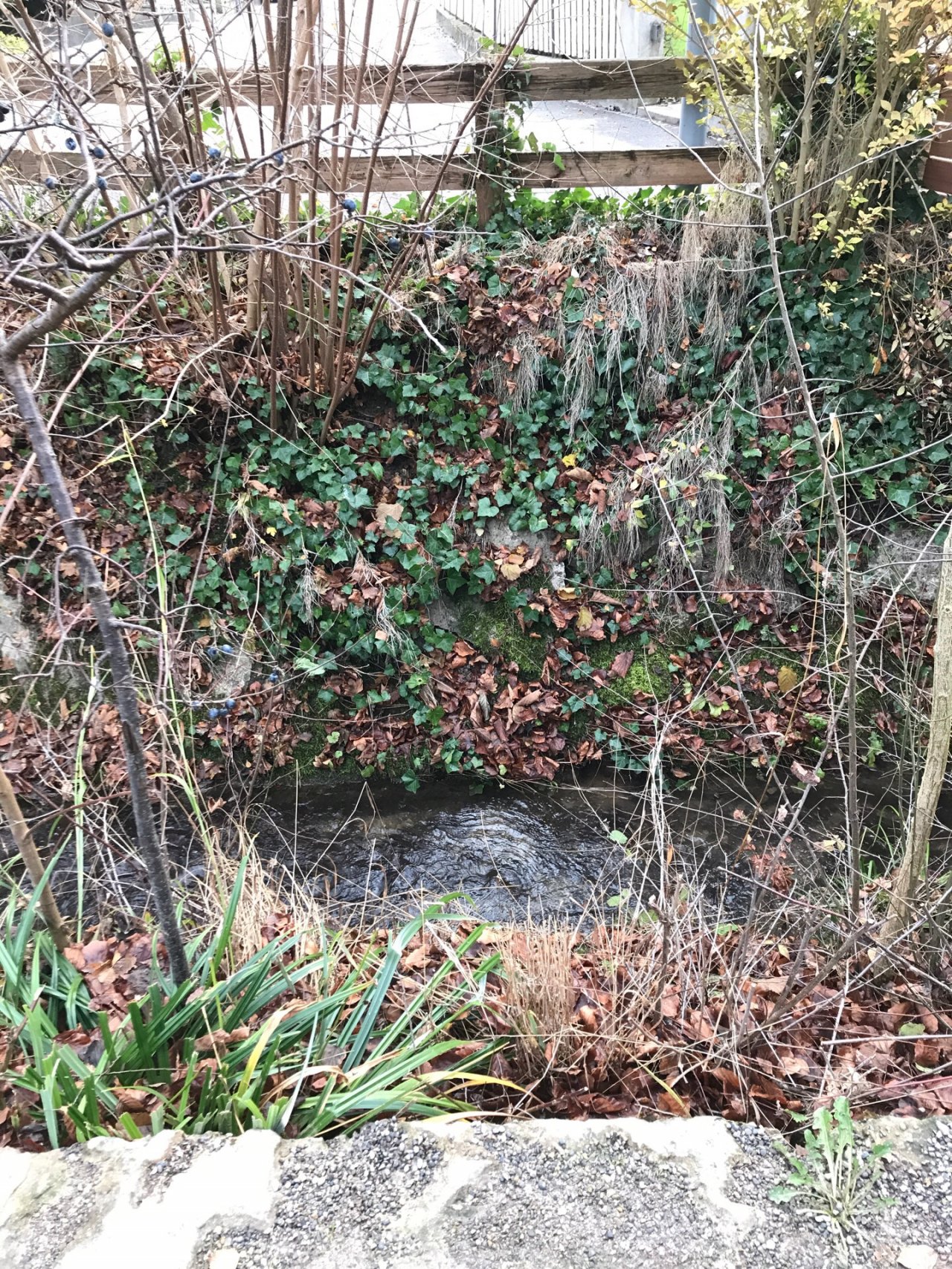 virtual scale in CrowdWater App spotted by Kantonsschule Baden on 30.11.2020