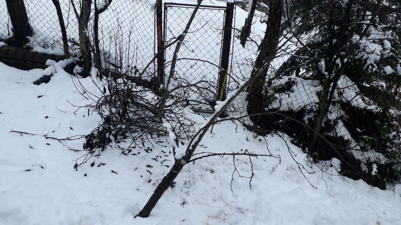 Der ist weg. | Naturkalender App | 10.12.2020