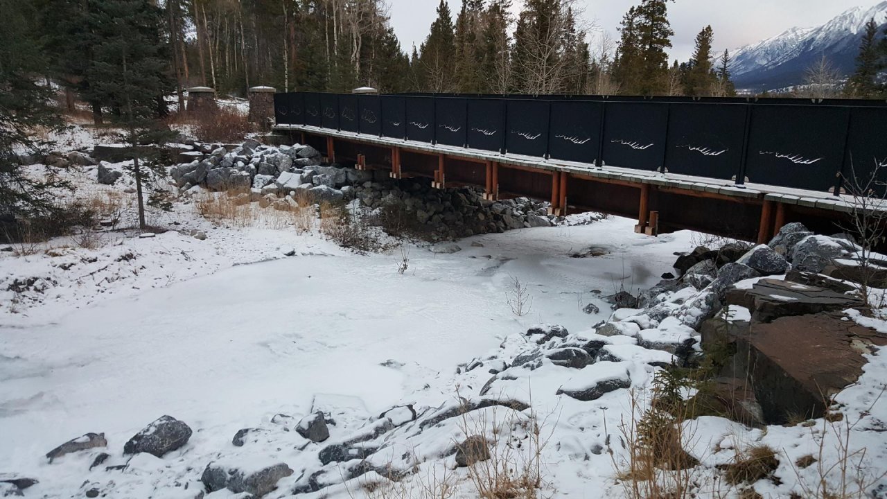 temporary stream in CrowdWater App spotted by Paul Whitfield on 18.12.2020