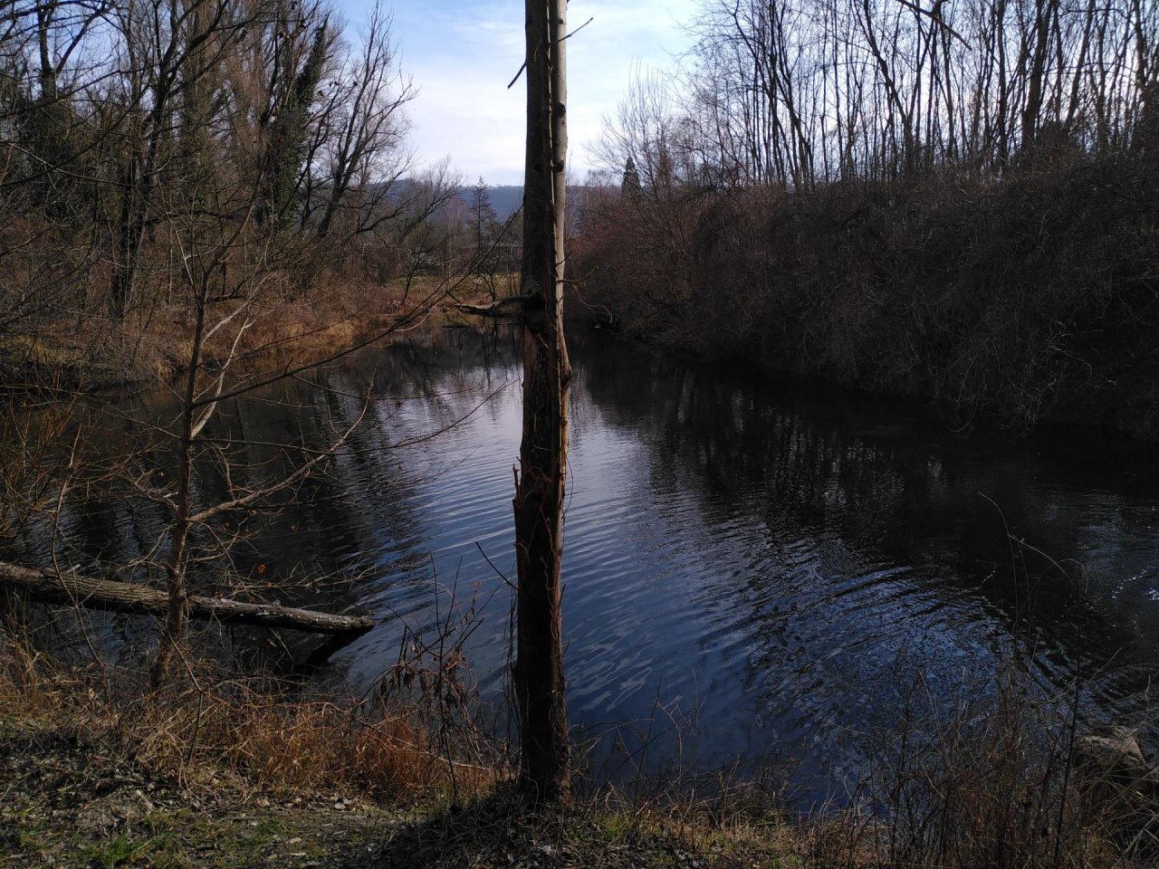 Freshwater in NatureSpots App spotted by TheOSWR on 05.02.2021