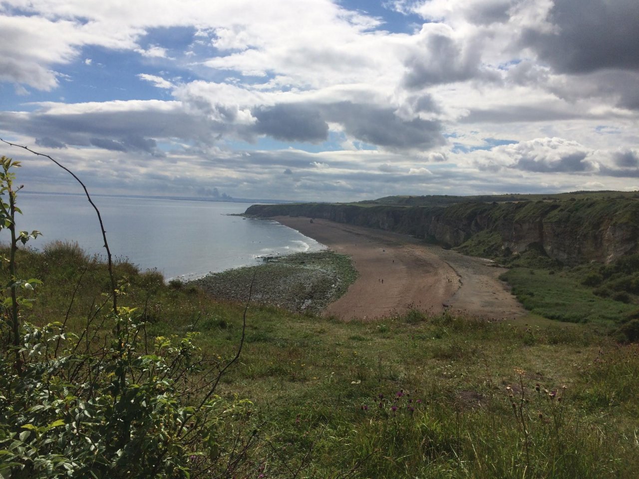 Free Roaming in CoastSnap App spotted by Allison Carpenter on 07.08.2020