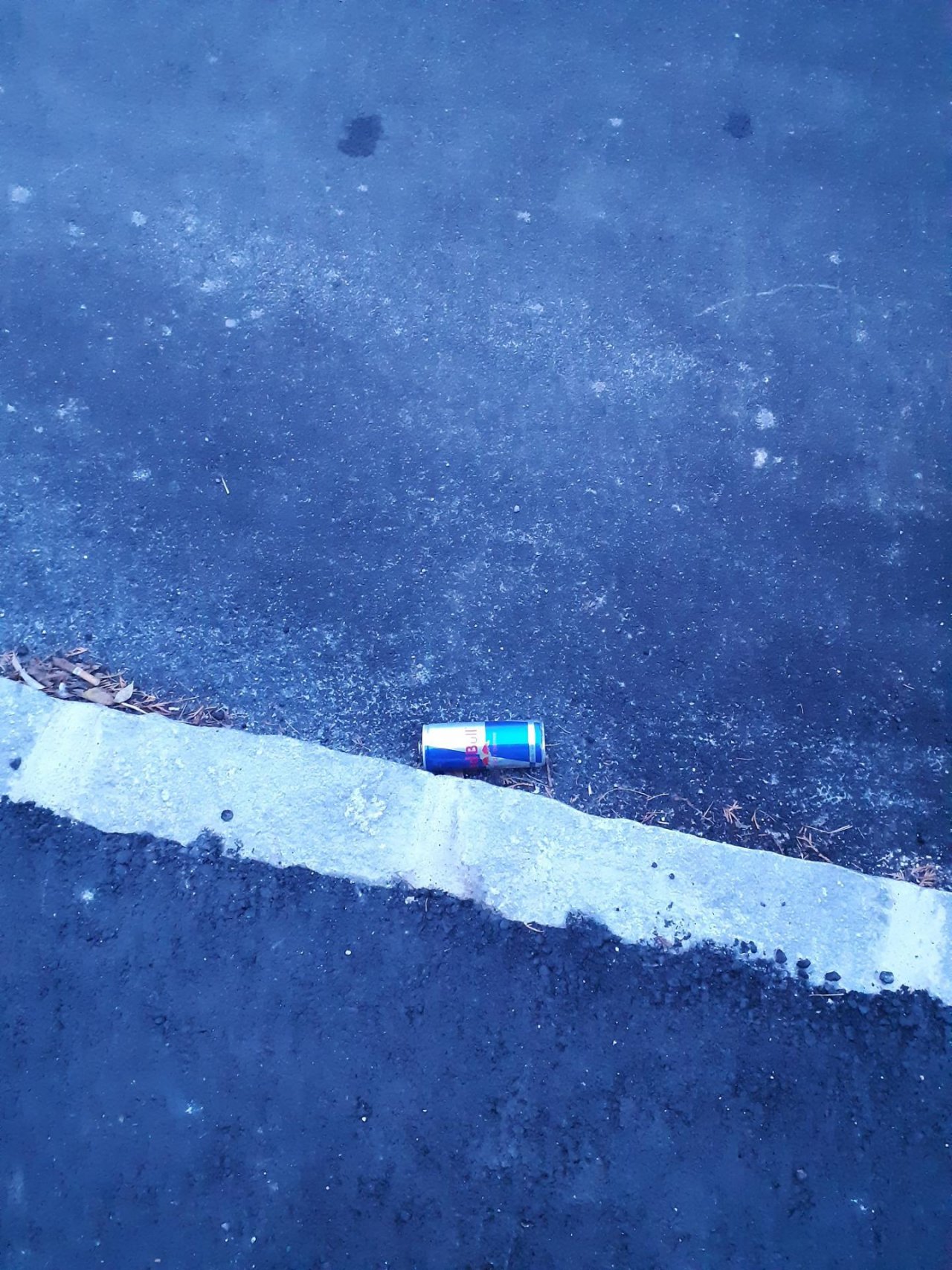 litter in DRECKSPOTZ | GLOBAL 2000 App spotted by NEOS Ebreichsdorf on 21.12.2020