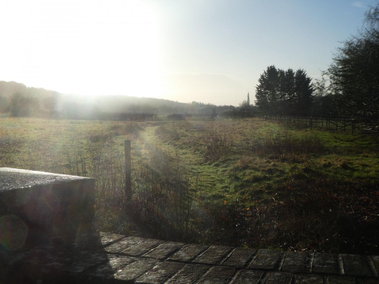 temporary stream in CrowdWater App spotted by DavidB on 20.12.2020