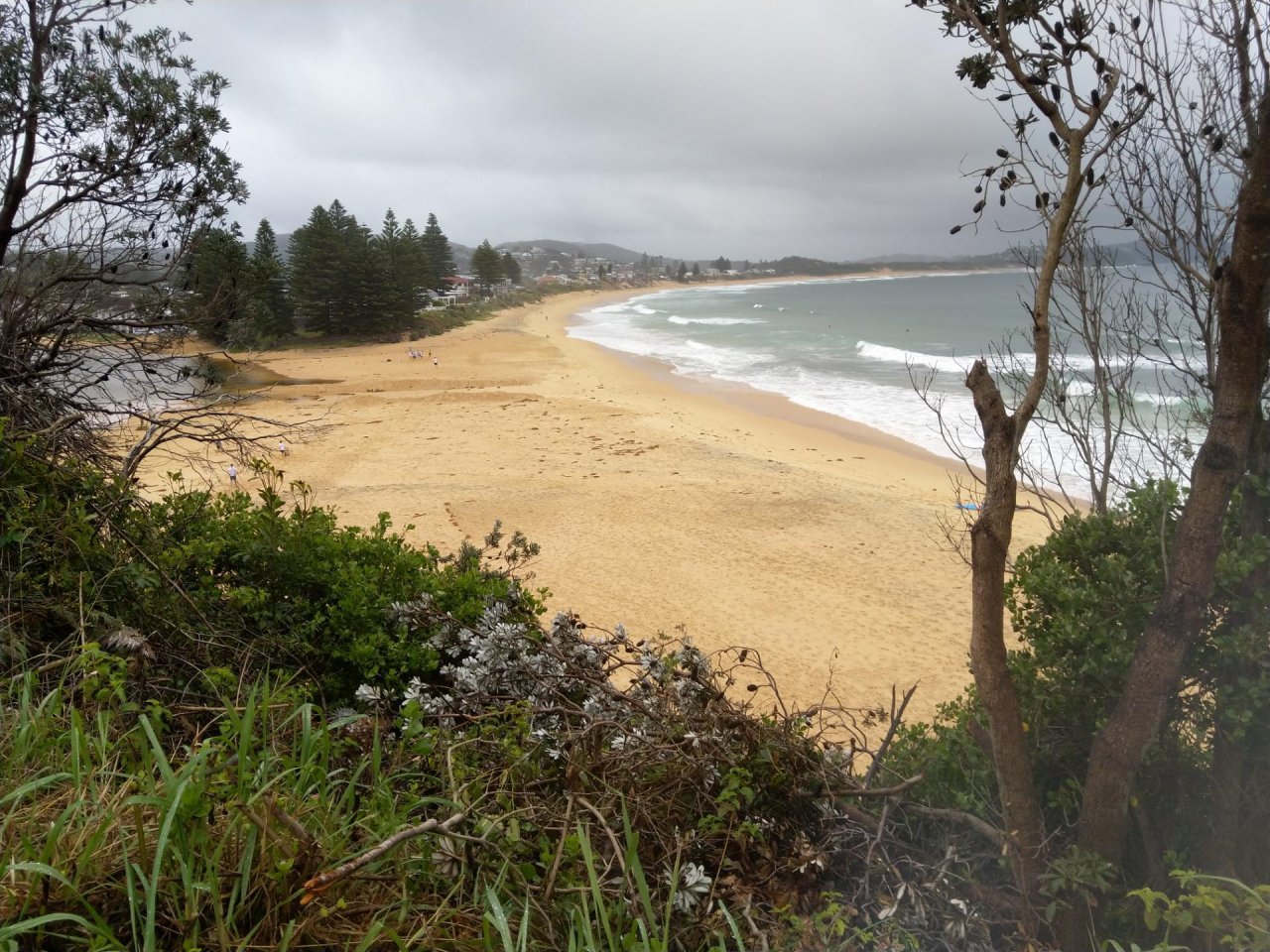 Coastsnap Station in CoastSnap App spotted by MurrayL on 19.12.2020