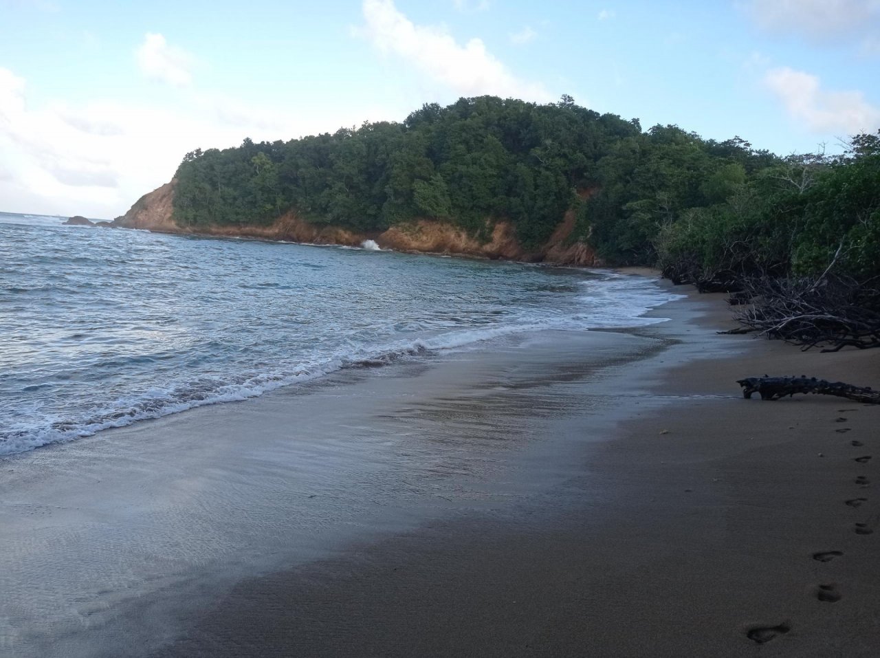 Free Roaming in CoastSnap App spotted by Thibault Delahaye on 23.12.2020