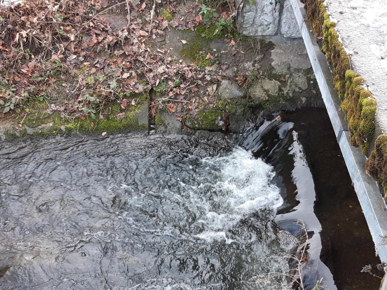 virtual scale in CrowdWater App spotted by Auria Buchs on 29.12.2020