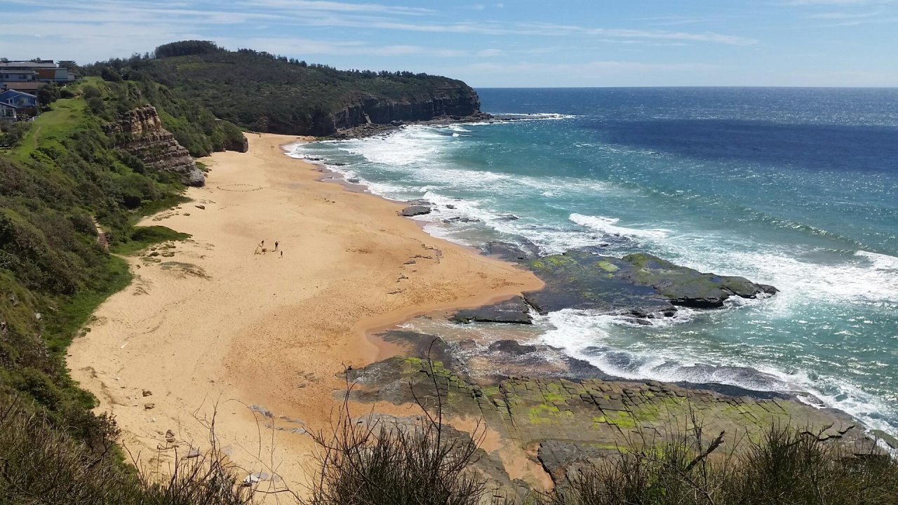 Free Roaming in CoastSnap App spotted by Lewis Slarke on 23.12.2020