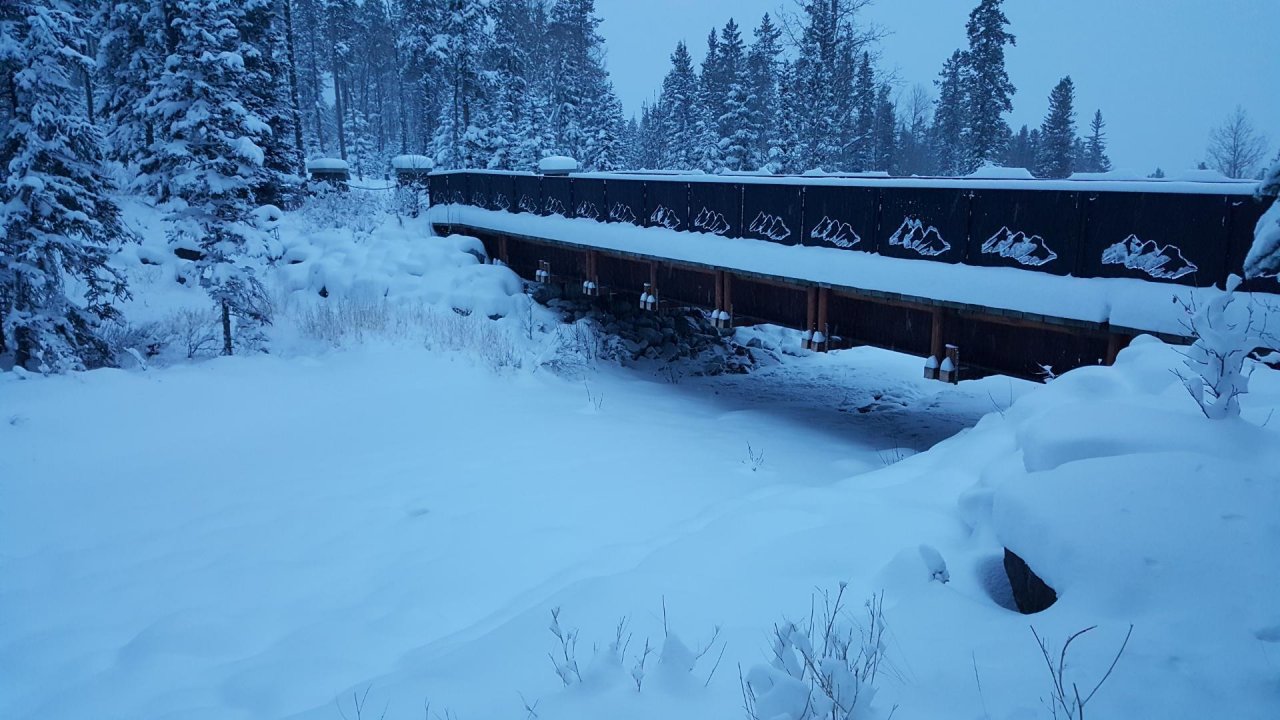 temporary stream in CrowdWater App spotted by Paul Whitfield on 22.12.2020