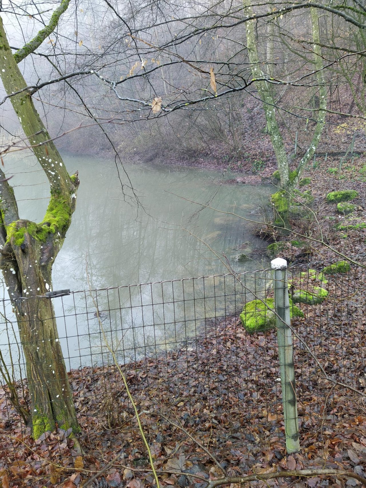 virtual scale in CrowdWater App spotted by Ueli Straumann on 20.12.2020