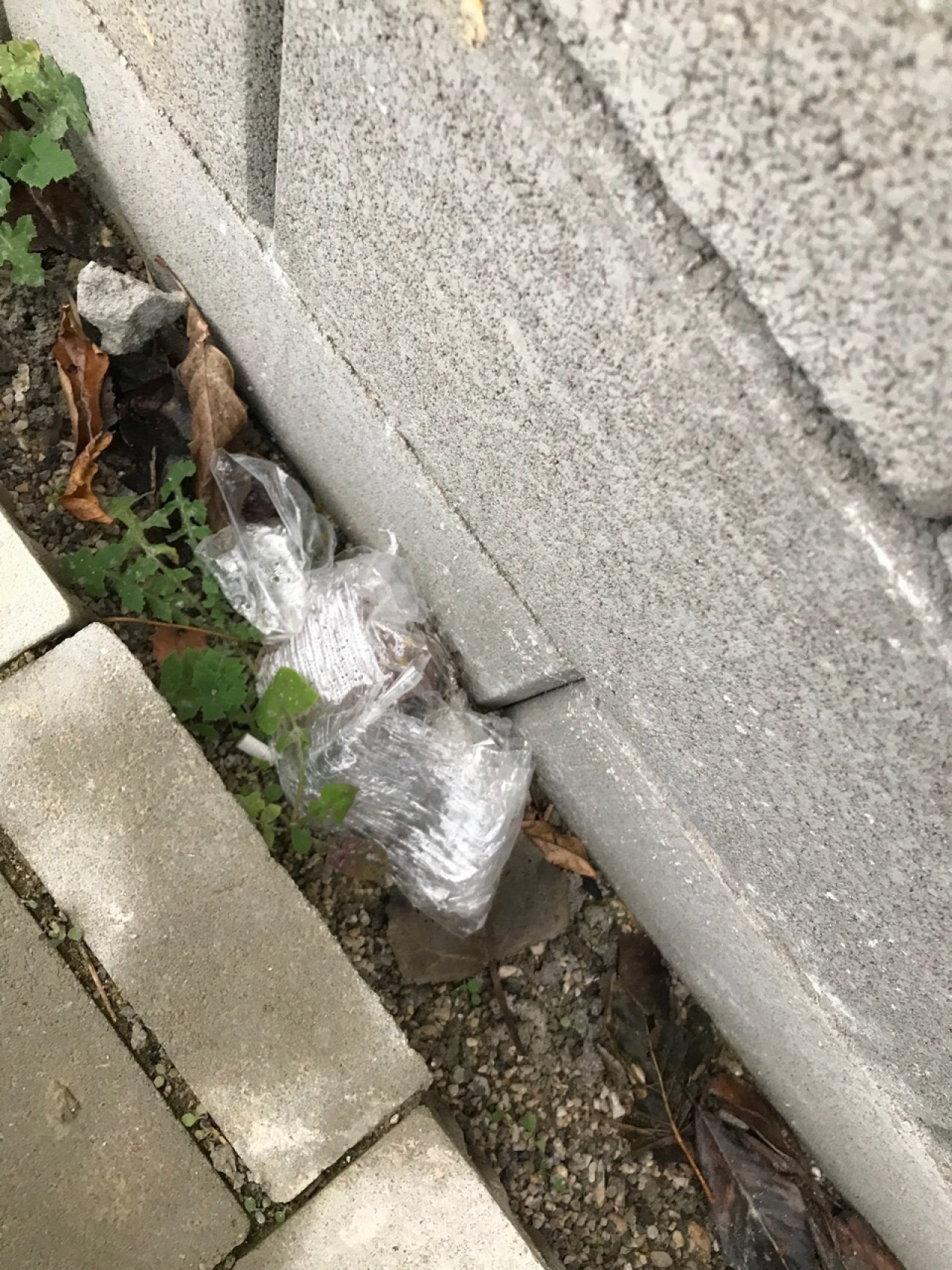 Direkt neben Mistkübel | DRECKSPOTZ | GLOBAL 2000 App | 09.12.2020