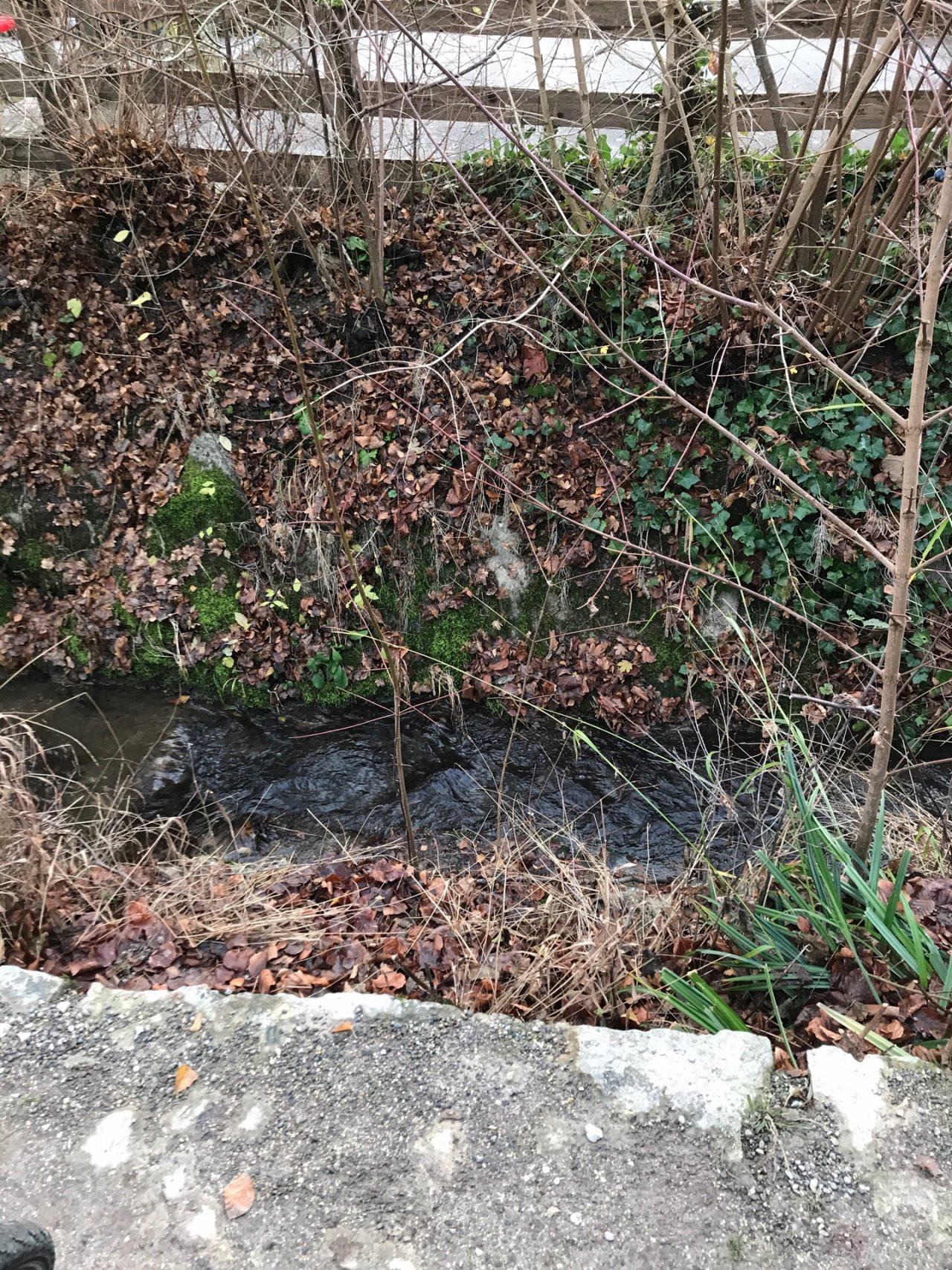 virtual scale in CrowdWater App spotted by Kantonsschule Baden on 15.12.2020