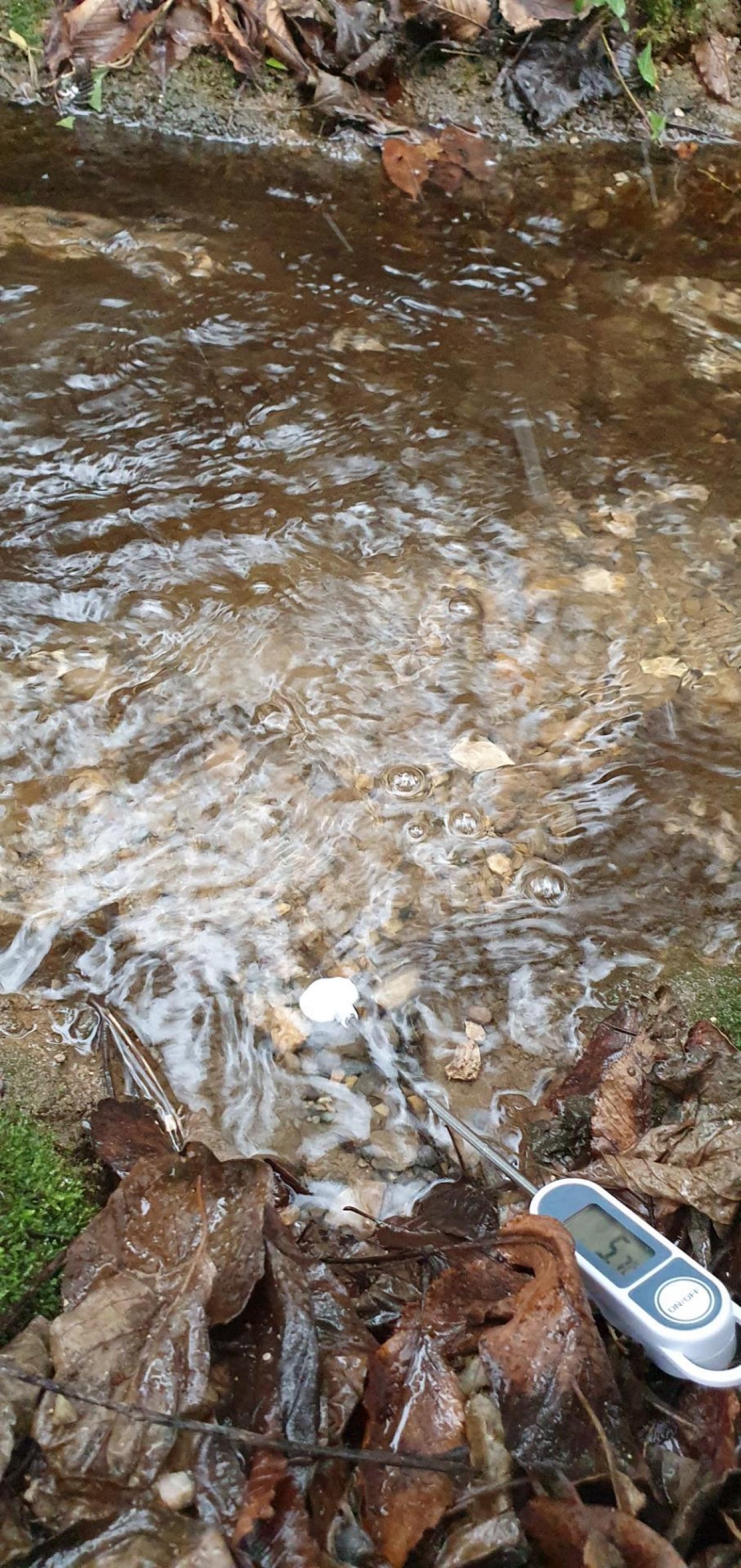 virtual scale in CrowdWater App spotted by Leon Mullis on 11.12.2020