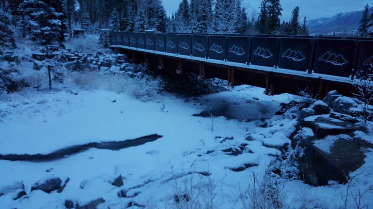 temporary stream in CrowdWater App spotted by Paul Whitfield on 11.12.2020