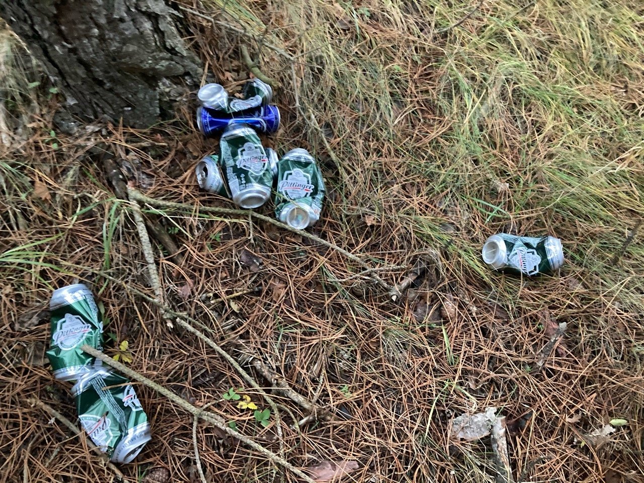 litter in DRECKSPOTZ | GLOBAL 2000 App spotted by braderies on 16.12.2020
